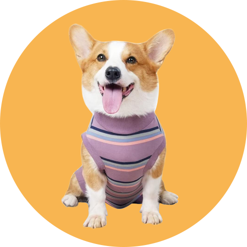 Pets Supplier
